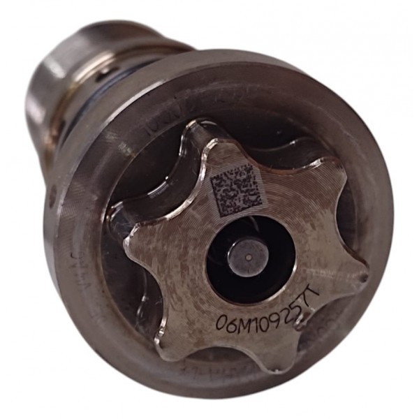 Parafuso Comandoporsche Cayenne 3.0 V6 2020 06m109257t