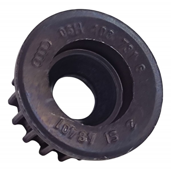 Engrenagem Eixo Balanceador Audi Q5 2.0 2021 06h103731g