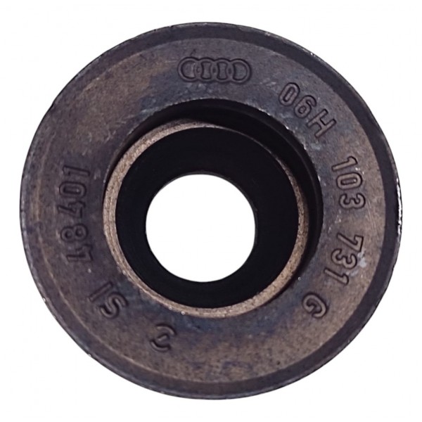 Engrenagem Eixo Balanceador Vw Tiguan 2.0 2024 06h103731g