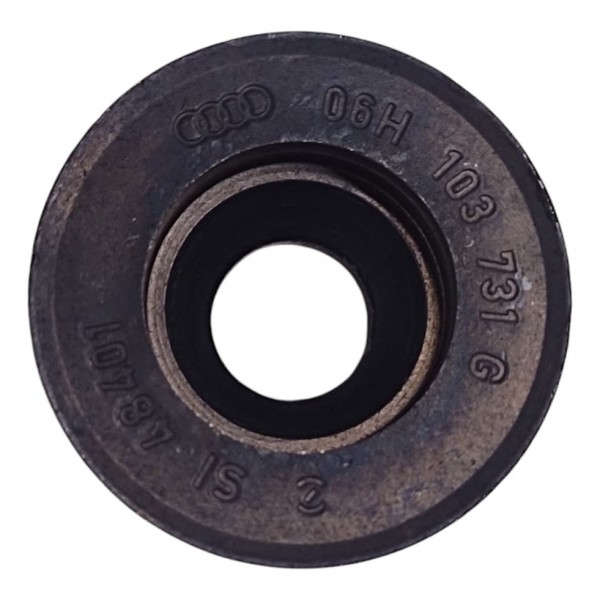 Engrenagem Eixo Balanceador Vw Tiguan 2.0 2024 06h103731g