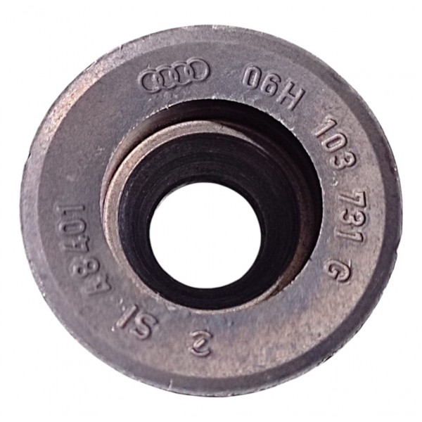 Engrenagem Eixo Balanceador Vw Tiguan 2.0 2024 06h103731g