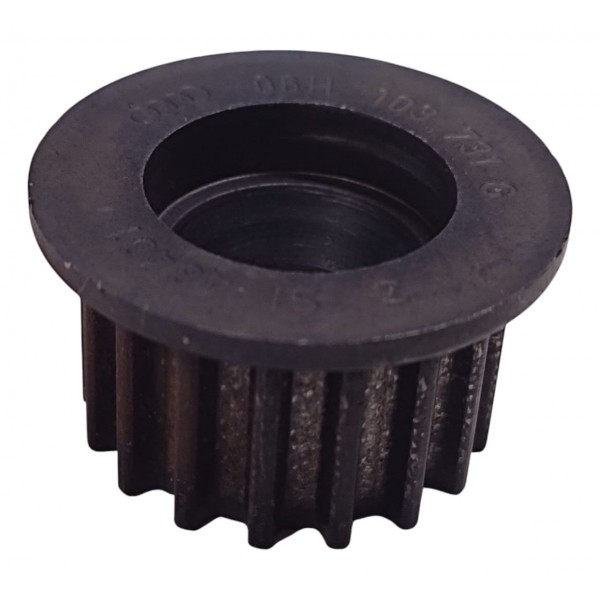 Engrenagem Eixo Balanceador Vw Tiguan 2.0 2024 06h103731g